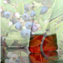 եǸߤޤϩ`˚ ׹ϩ`Лr